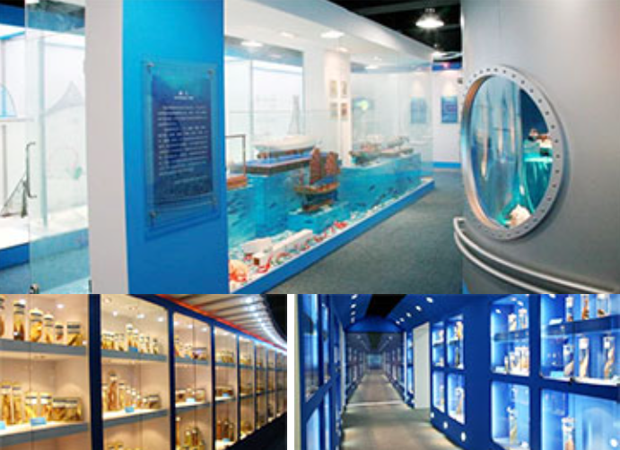 c4da4f1ed583dbb0729d211c279547d1